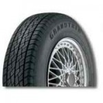 Dunlop100M GRTREK TG32 (205/80R16) 