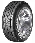 Dunlop99H GRTREK ST20 (225/60R17) 