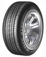 Dunlop99H GRTREK ST20 (225/60R17) 