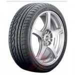 Dunlop100W SPT MAXX TT (245/50R18) 